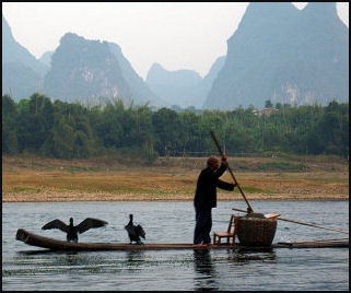 20080318-cormorant Guilin-fishing teh wanderer years.jpg